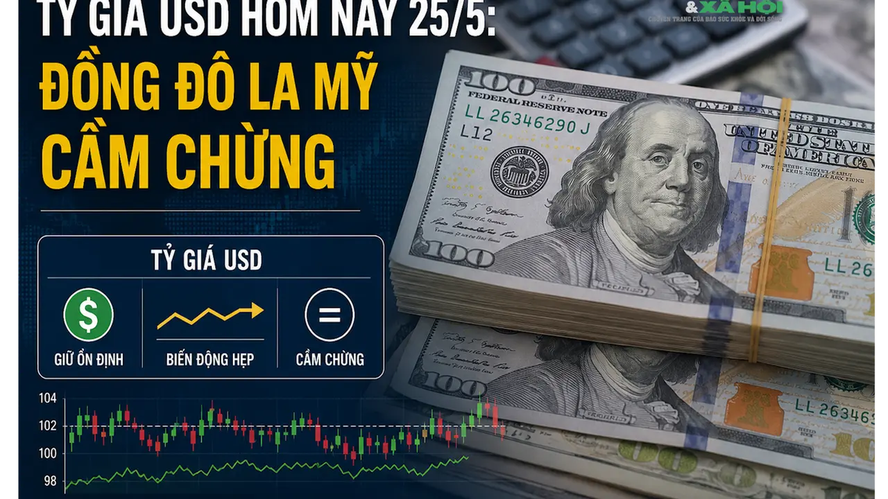 استقرار سعر صرف الدولار الأمريكي اليوم 25 مايو في الأسواق المالية